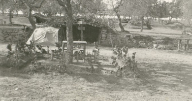 La XIV BI en la batalla de La Granja