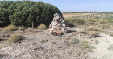 Olivos para la memoria: un homenaje a Kit Conway, Charlie Donnelly y el Batallón Británico en el Jarama